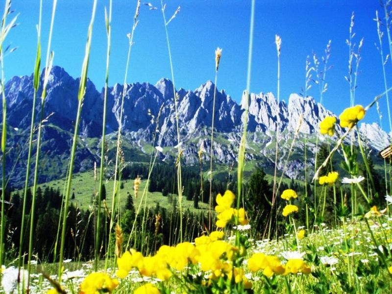 Gaestehaus Gschwandtner Mühlbach am Hochkönig Buitenkant foto